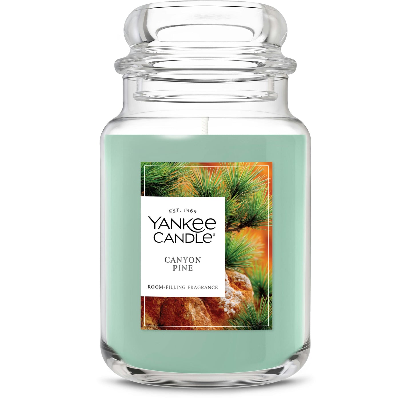 Canyon Pine IX58