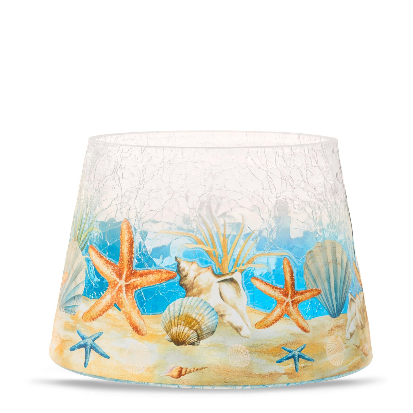 Seashell Jar Shade CCSX