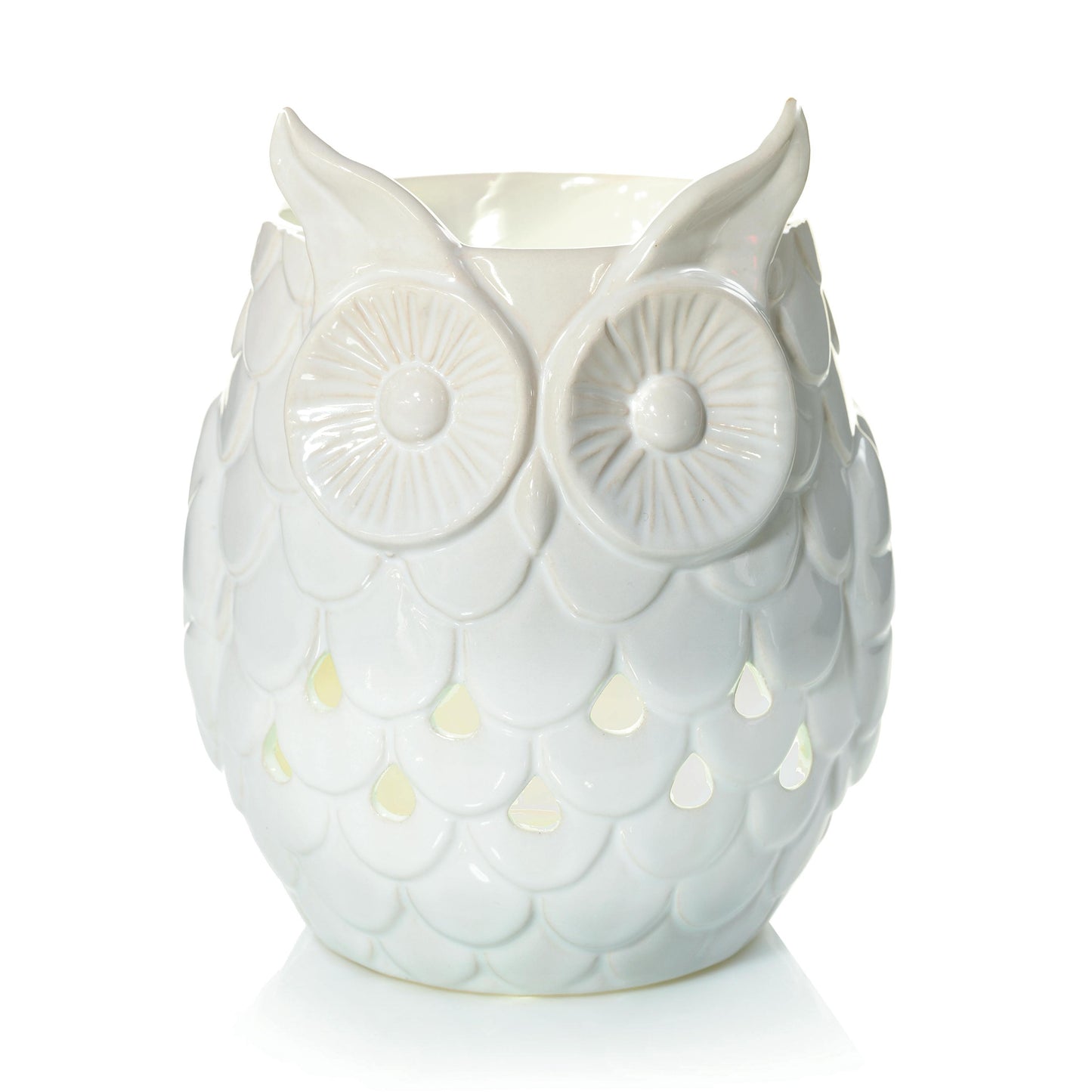 Owl TWYW