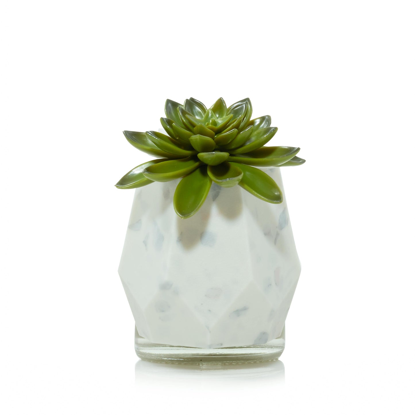 Faceted Succulent ScentPlug® Diffuser with Light IJUP
