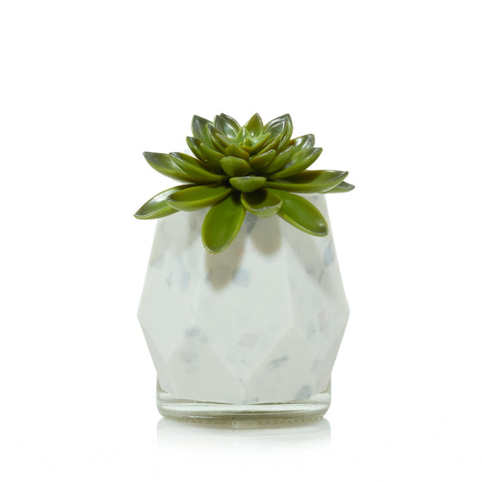 Faceted Succulent ScentPlug® Diffuser with Light IJUP